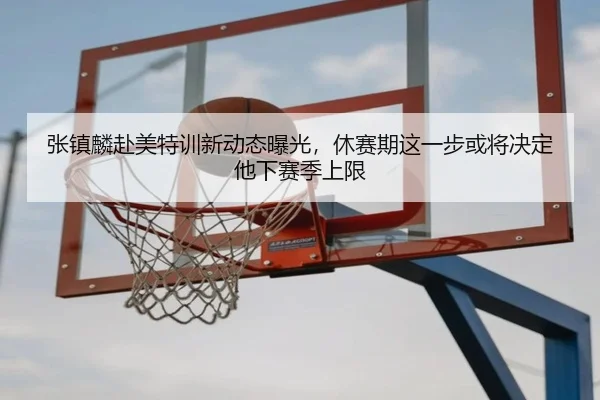 张镇麟赴美特训新动态曝光，休赛期这一步或将决定他下赛季上限